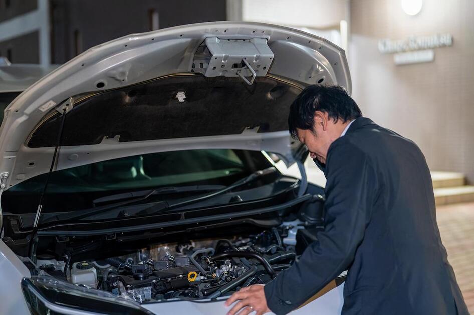 prodavecz neohotno dayot proverit dvigatel